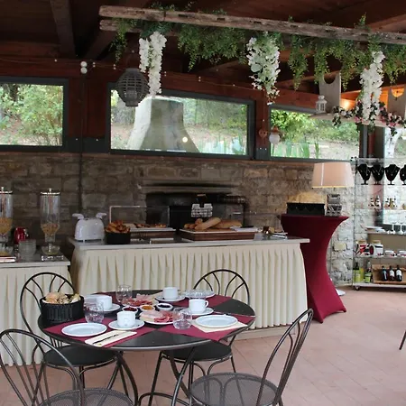 Serena * Assisi